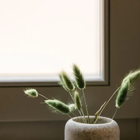 Chromata Assos Kefalonia